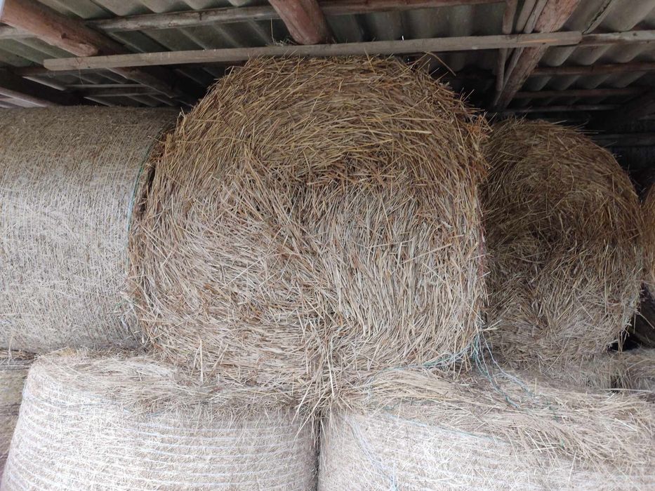 Słoma i siano z pod dachu. Możliwość transportu.