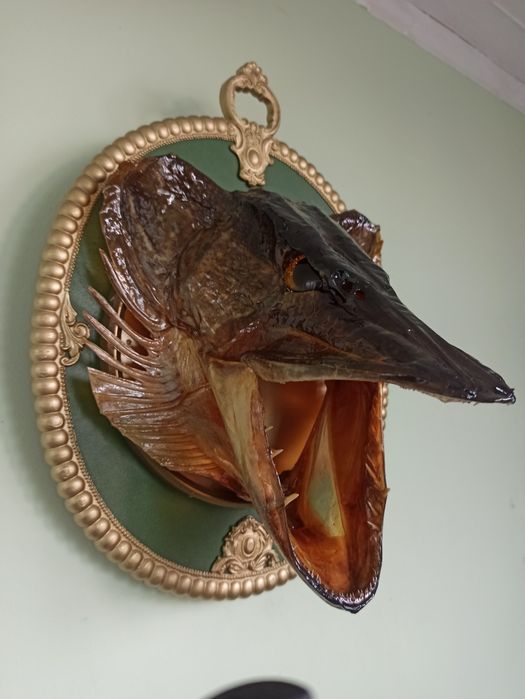 Рибацький декор (щука)