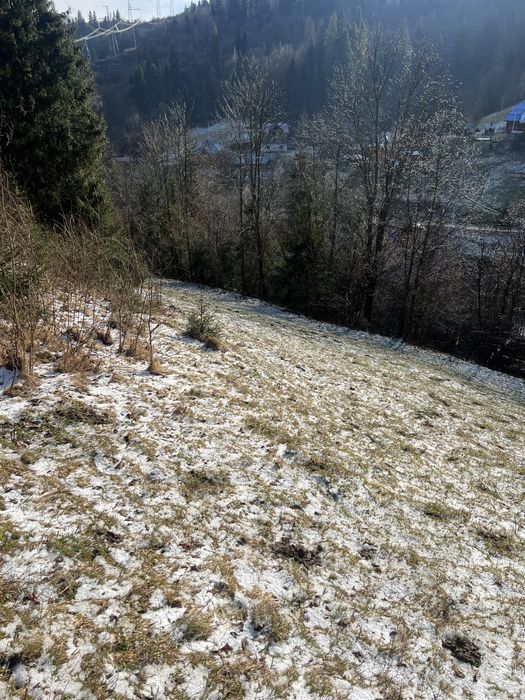 Продам земельну ділянку Славське 20 сотих