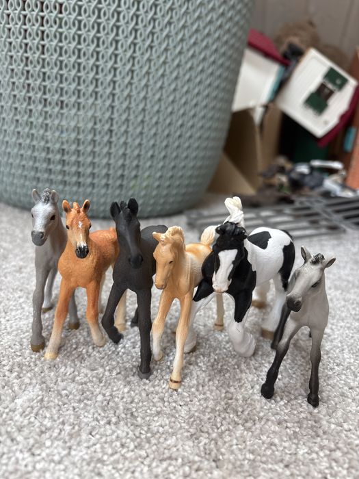 Źrebaczk schleich