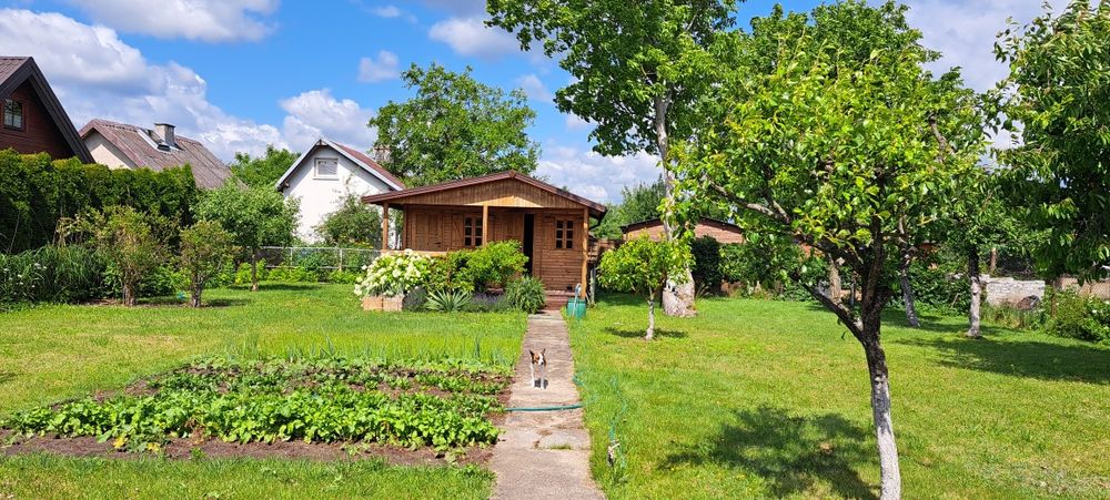 Ogródek ROD . Iława