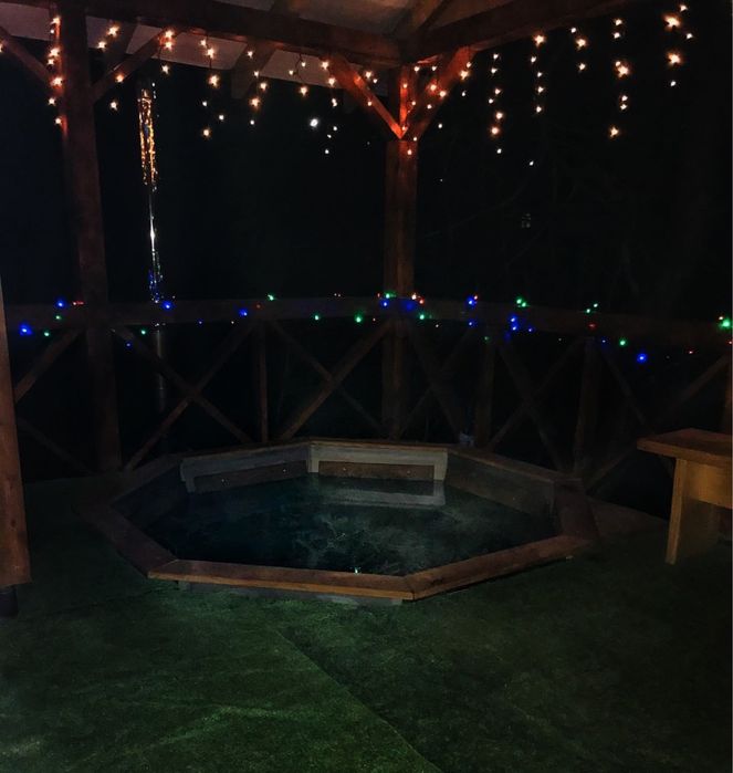 Отдых. Відпочинок в Карпатах. Аренда дома.Чани