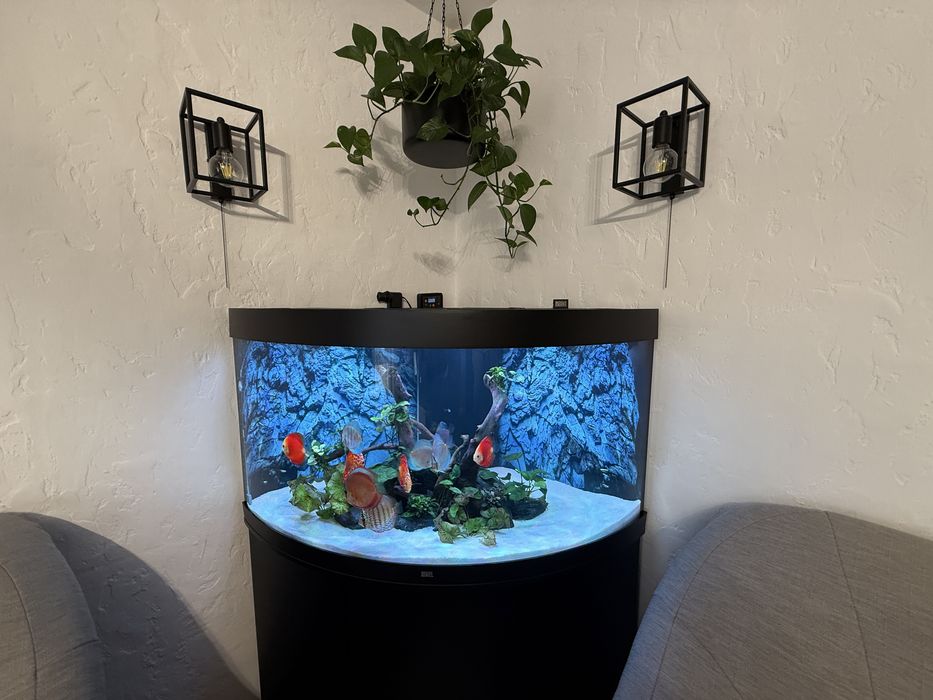 Akwarium Juwel najwyższa wersja narożne 350l Helia Lux.