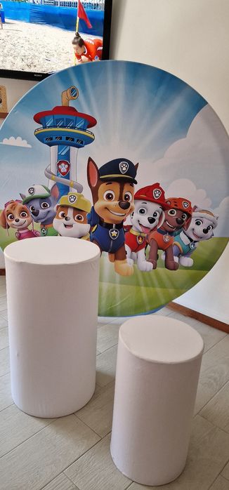 Decoração Patrulha Pata para alugar