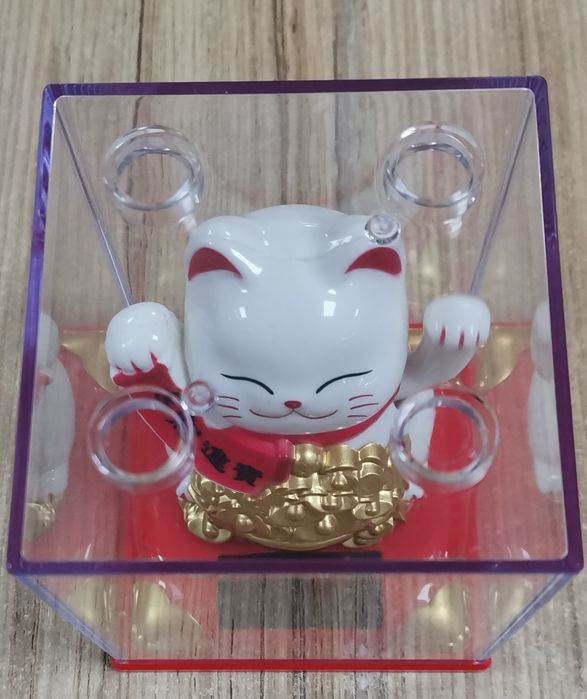 Gatinho que mexe a para, movido por energia solar.
