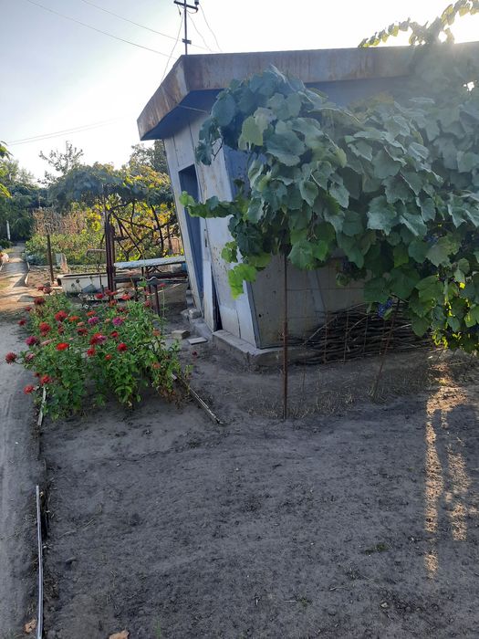 Дачный участок в кооперативе Металлург Раковка