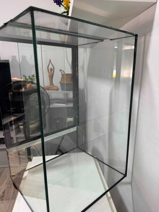Terrário novo para répteis