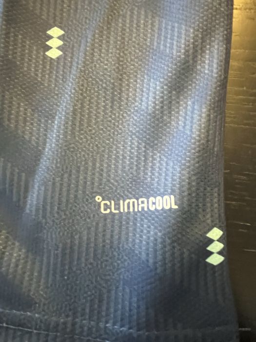 Camisola Futebol Alemanha Alternativa