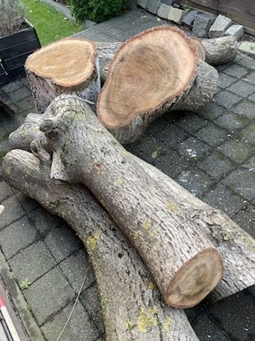 Odam drewno za darmo