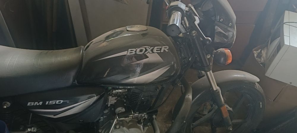 Мотоцикл Boxer 150 ,2025р.
