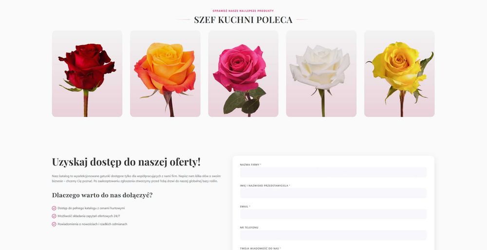 Tanie Strony internetowe, Sklepy E-commerce, Aplikacje Webowe, Automatyzacje AI