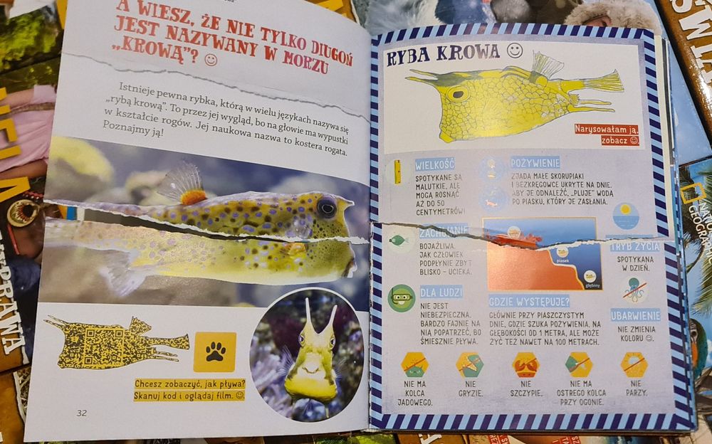 Zestaw 9 książek "Nela mała reporterka"