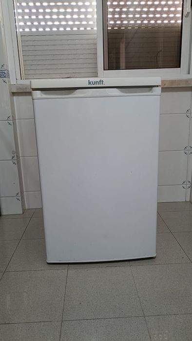 Arca congeladora + Frigorífico