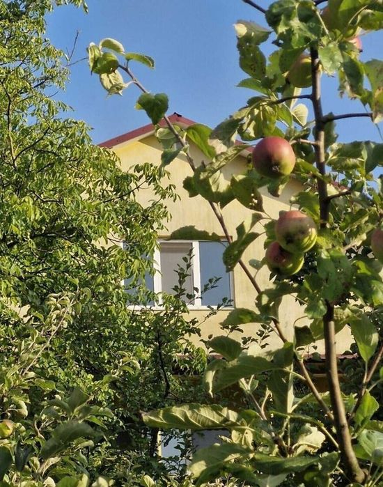 Продаж будинку Лєзніво SL
