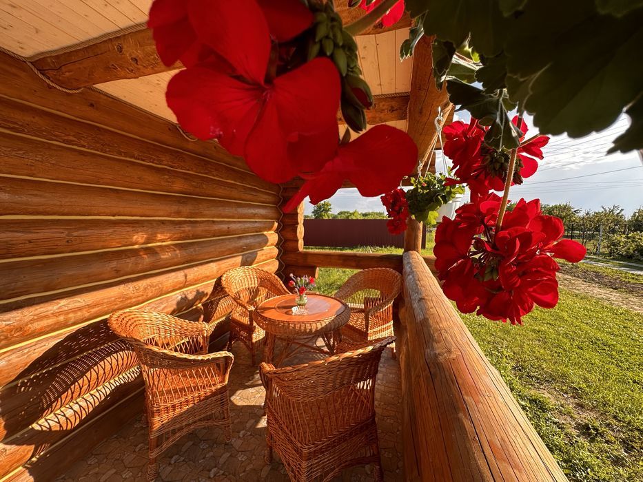 Деревяний будиночок біля термальних вод Косино