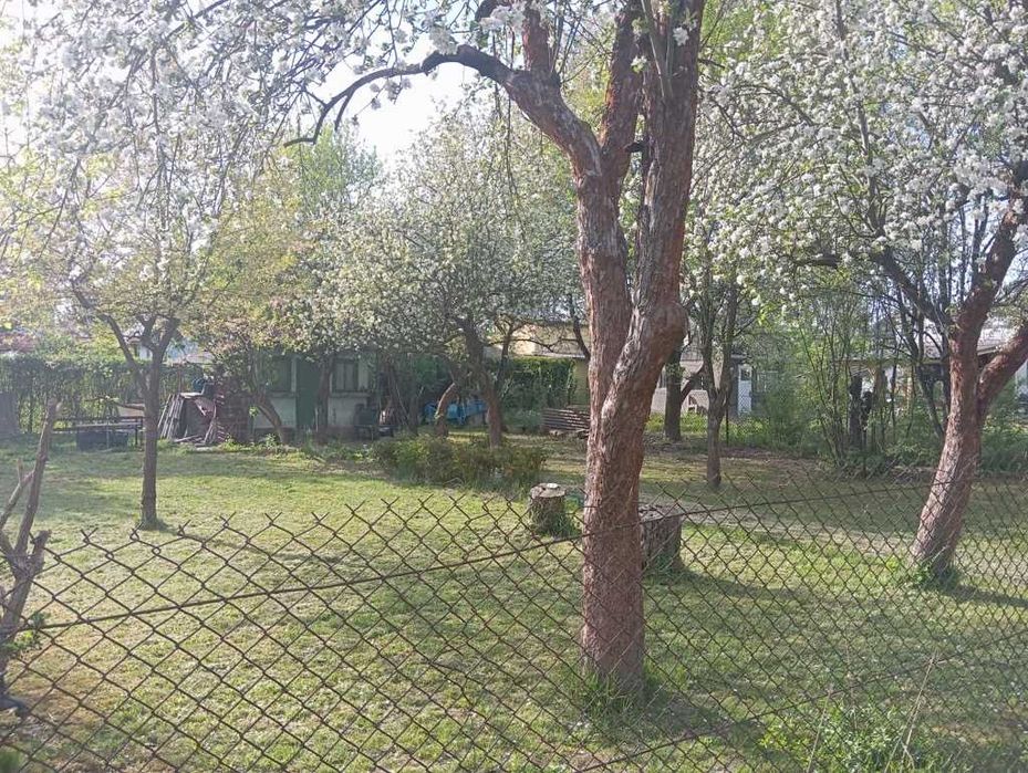 Odsprzedam prawo do użytkowania działki ROD ul. Bulwarowa