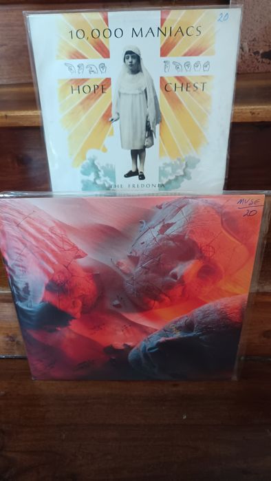 Discos de vinil (20 cada)