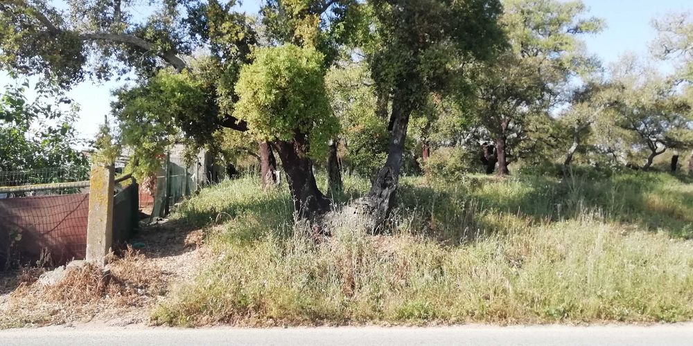 Terreno em Poceirão