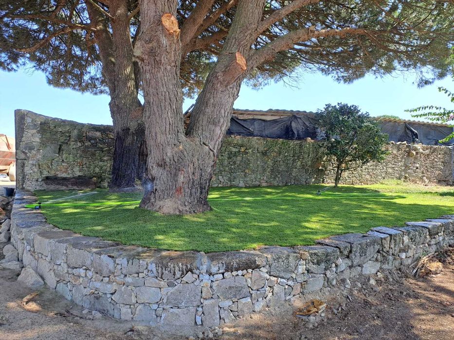 Criação e Manutenção de Jardim! Plantas/Palmeiras/Coqueiros/Sebe