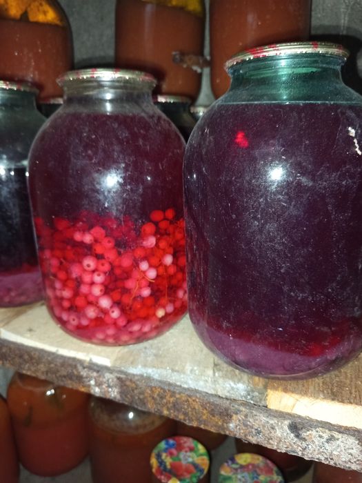 Домашняя консервация