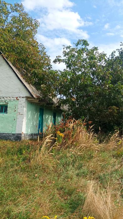 Будинок Шкарівка з великою земельною ділянкою