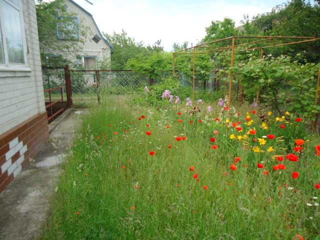 Будинок-дача в СТ "Хімік" (с. Благодатне) (п3)