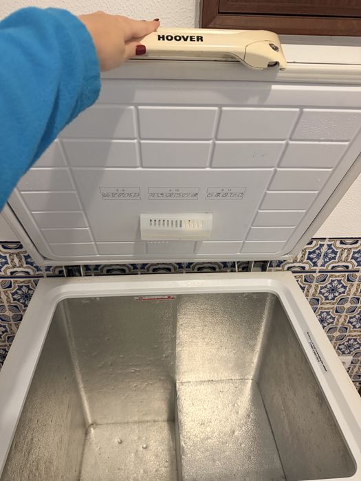 Freezer horizontal