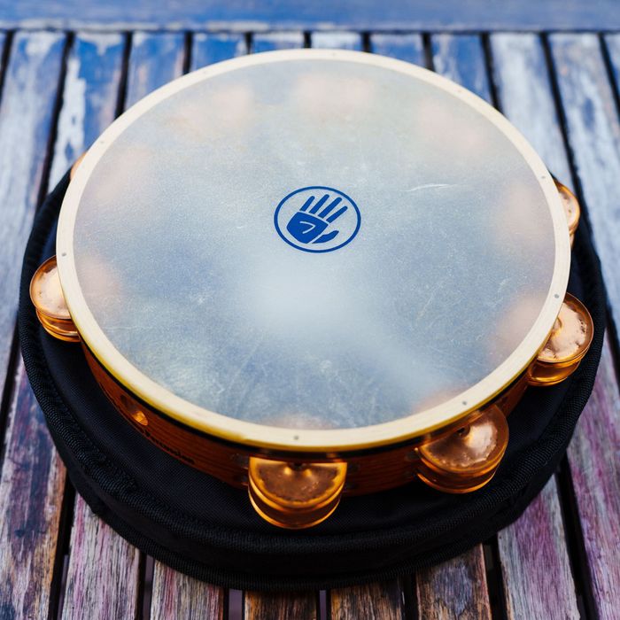 Tamburyn Black Swamp Percussion TD2 Phosphor Bronze 10" – stan bardzo dobry + case Faktura VAT 23%