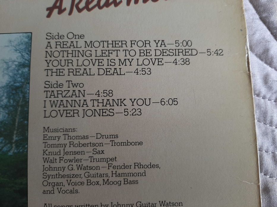 Johnny Guitar Watson - A Real Mother - Europa - Vinil LP