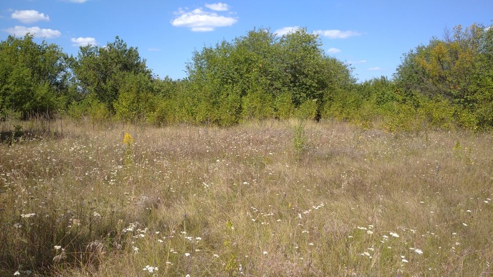 Продам земельный участок, 10сот., Белоцерковский р-н, Киевской обл.