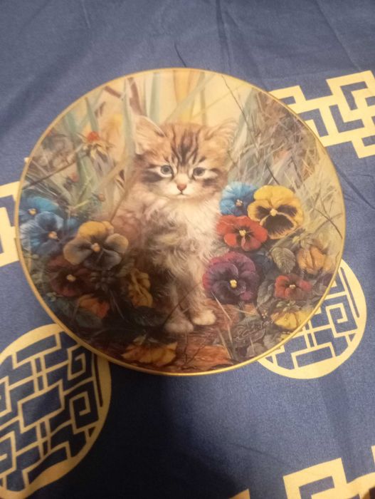 Talerze porcelana koty kolekcjonerskie 5 szt.