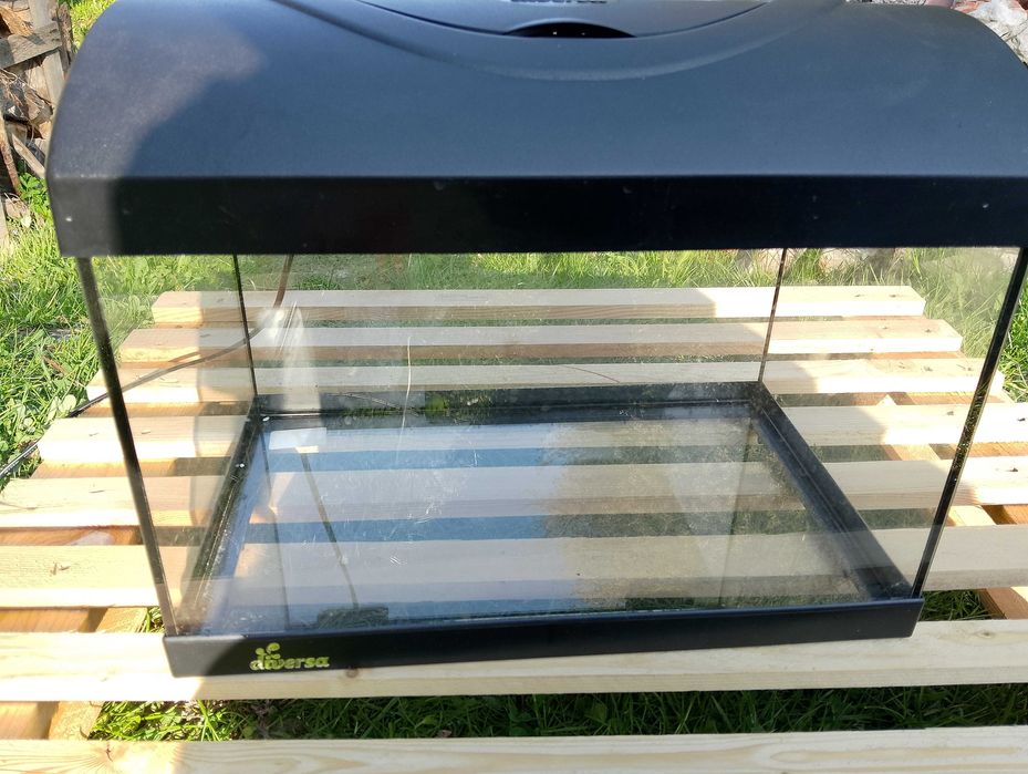 Akwarium 25x40x25 Diversa z pokrywą lampa LED