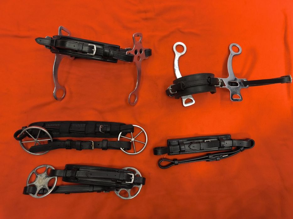 Hackamore, czanki, wedzidło