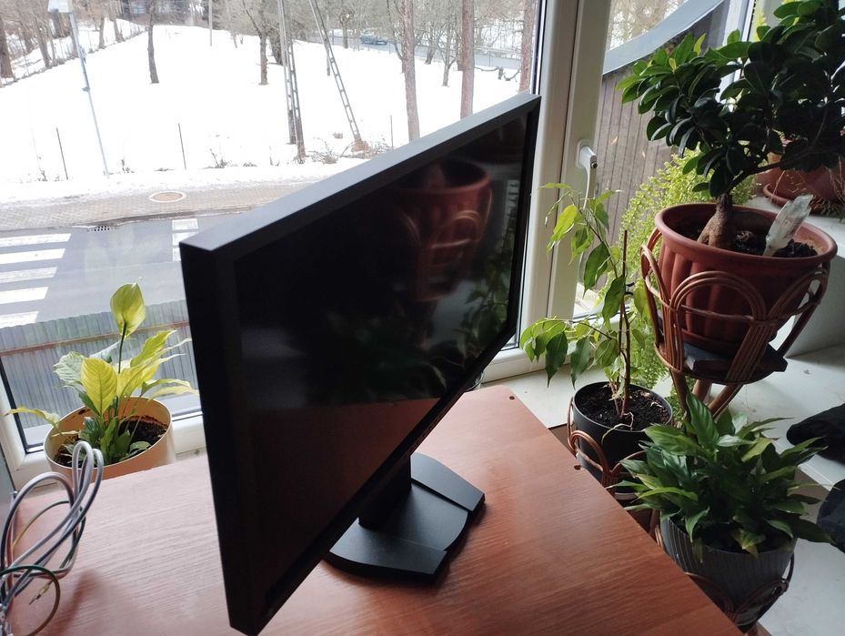 Monitor Eizo Foris FG2421PL czarny