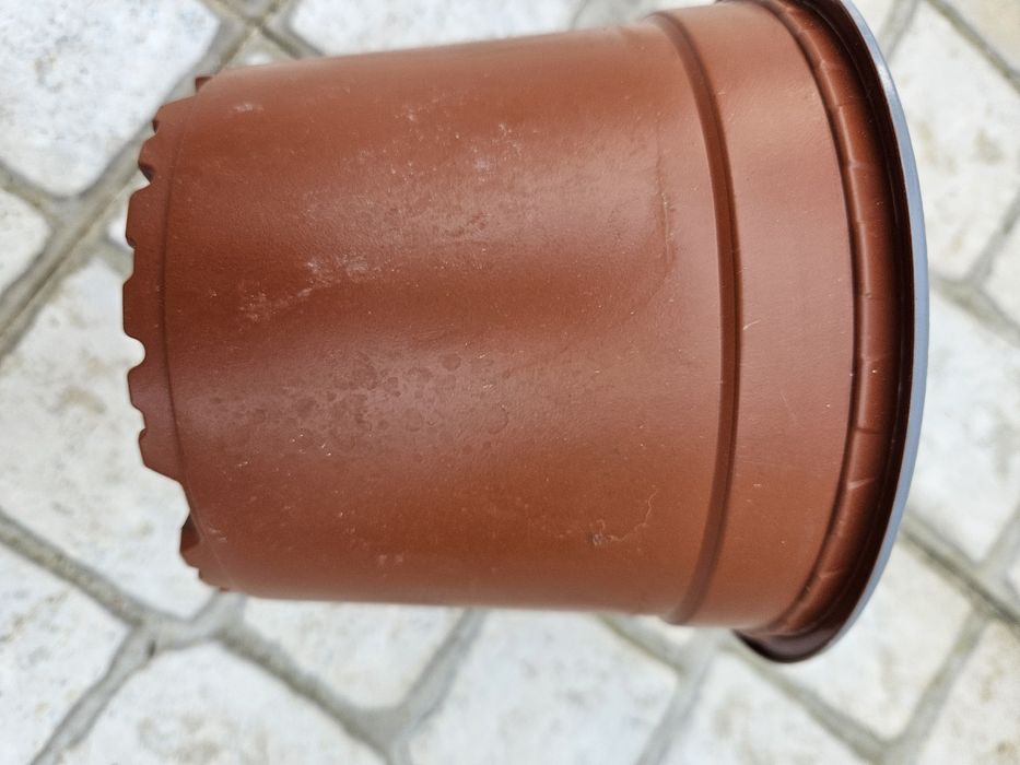 Vendo vasos pequenos