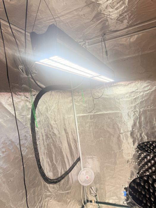 Mars Hydro SP 650W Samsung