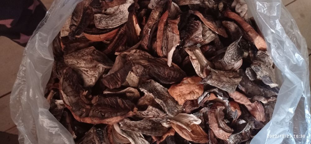 Сушені гриби,підберезник,підосисиновик, сушеные грибы,з карпат