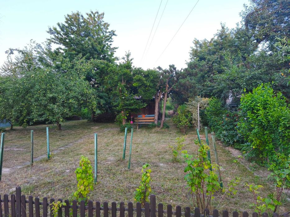 Ogród działkowy ROD Kabaczek