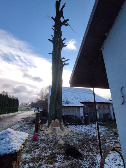 Wycinka drzew, wyburzenia,