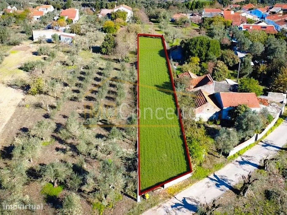 Terreno Rústico - Tomar | 960m2 de Natureza — Paialvo, Santarém