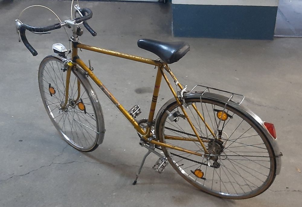 Bicicleta Randonneur