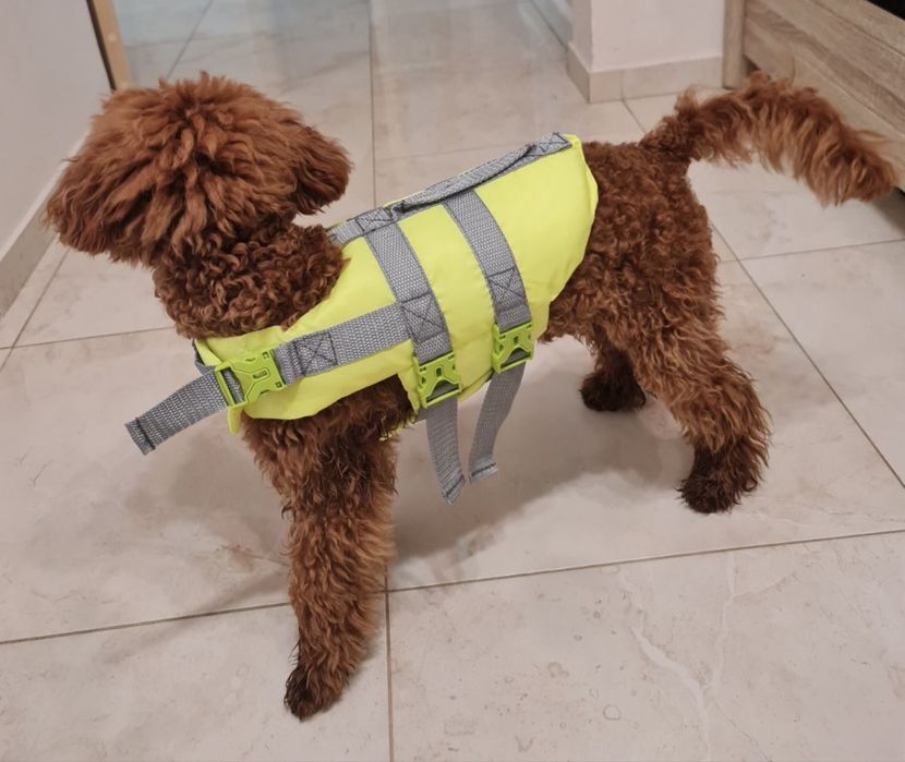 Спасательный рятувальний жилет для собаки