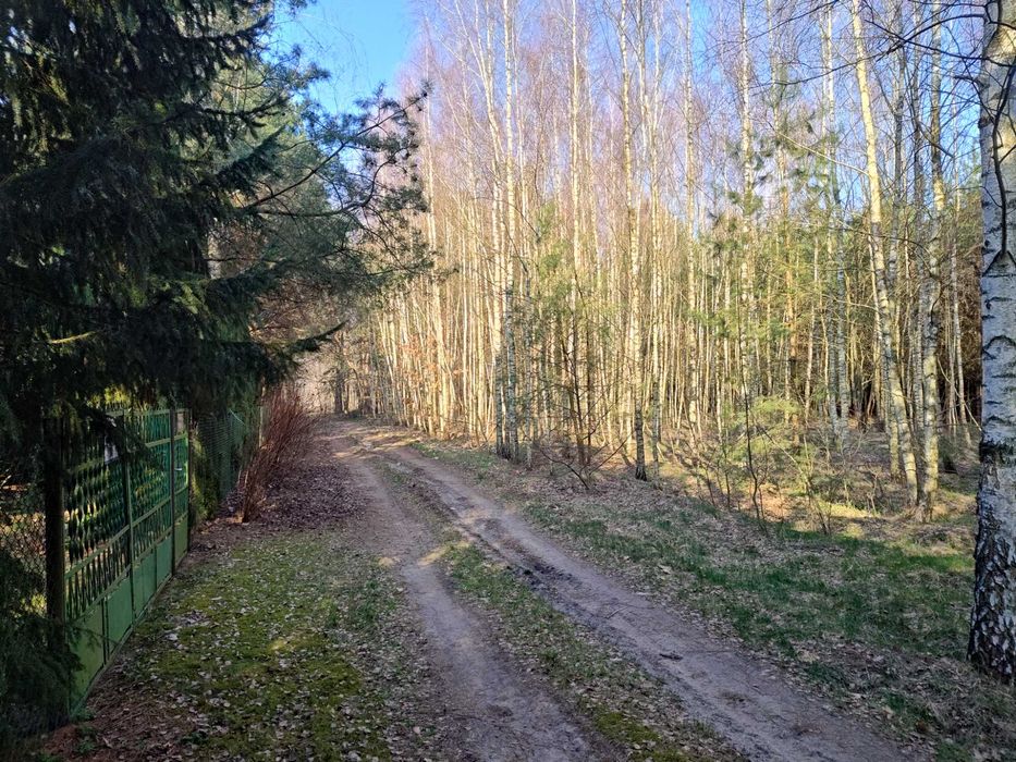 Działka nad jeziorem Długie Grodzieckie i Bugiem, Wszebory, Ceranów