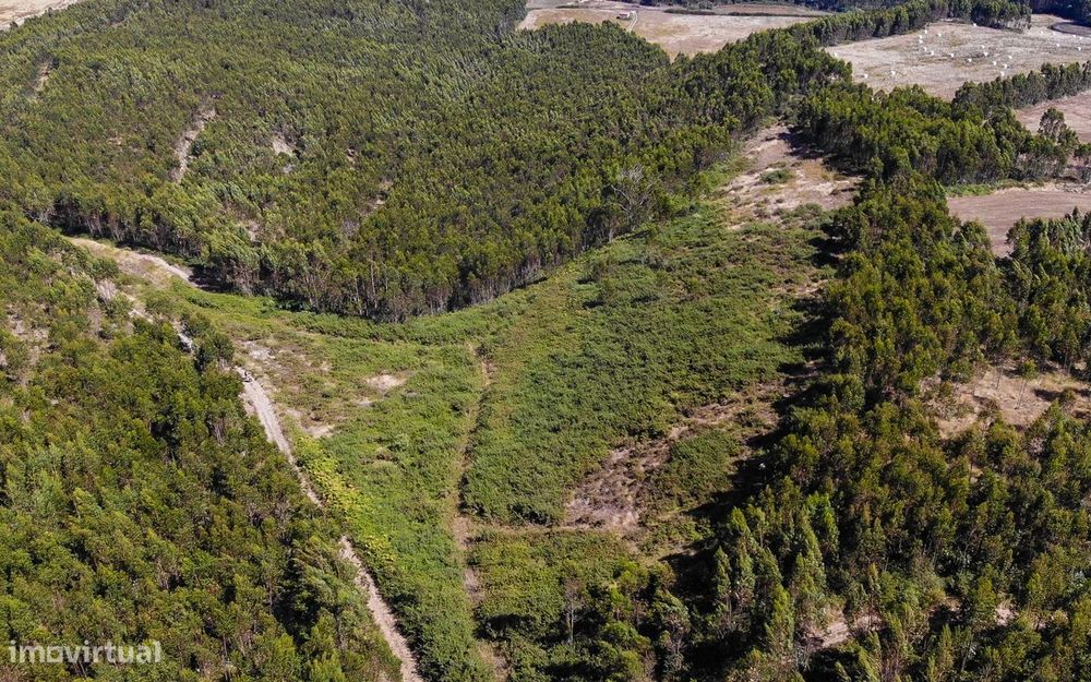 Terreno  para venda — Sobral de Monte Agraço, Lisboa