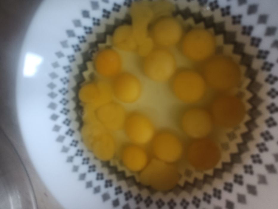 Sprzedam jajka przepiòrcze