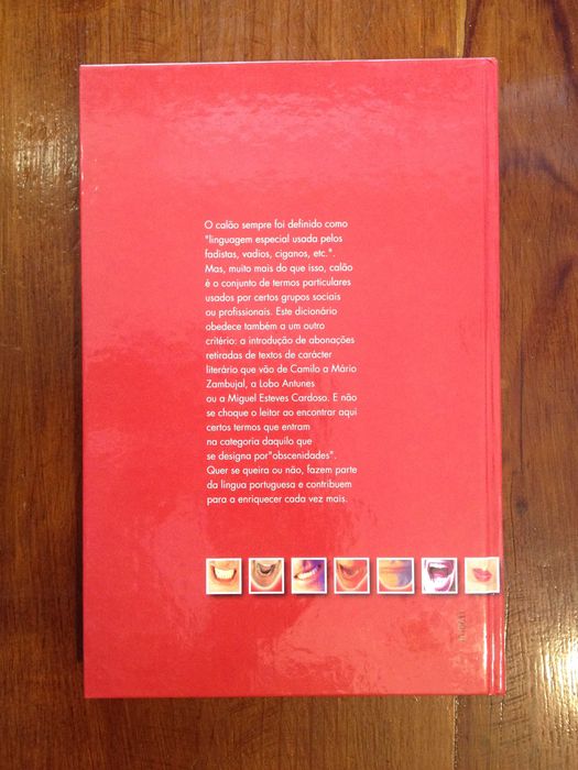 Afonso Praça - Novo dicionário de calão