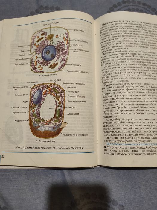 Загальна Біологія 10 Клас Кучеренко Вервес: 100 Грн. - Книги.