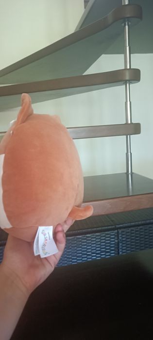 Squishmallows Maskotka Pluszak Brązowy PIES CORGI Z NAPOJEM REGINA 19 cm