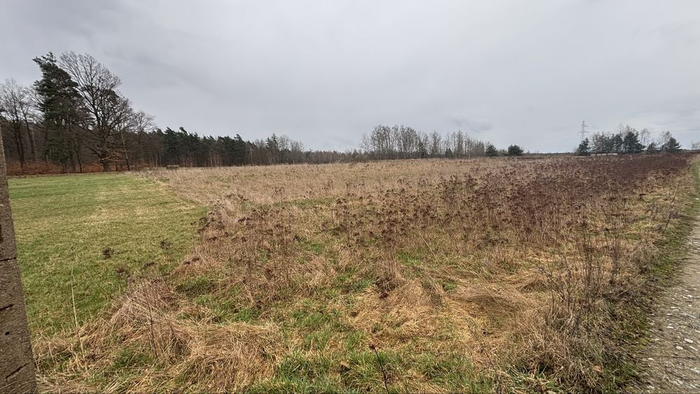 Działka Olbrachtów  1,1h. rolna z warunkami zabudowy - View 4