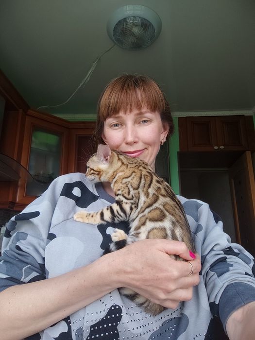 Бенгальські кошенята. Документи клубу WCF